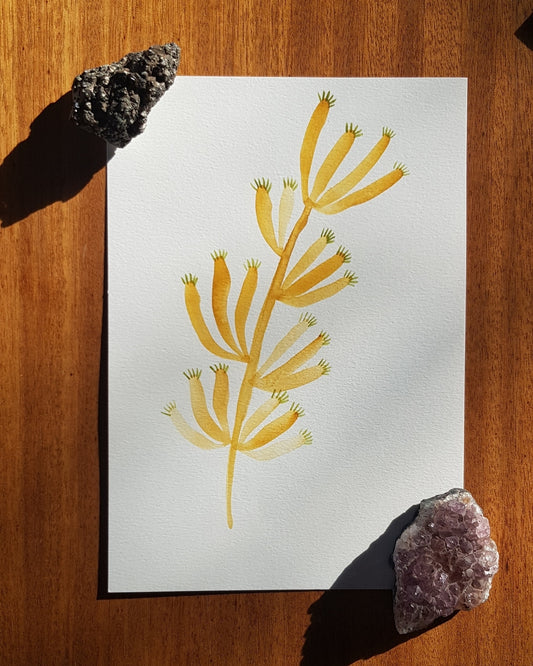 Fantasy Watercolour Branches - Mustard