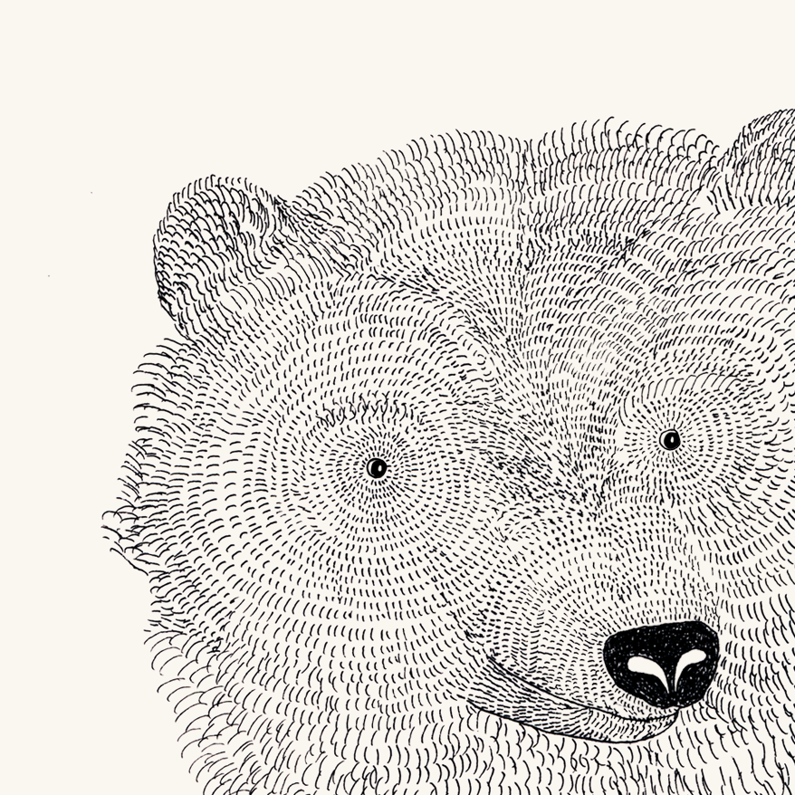 Bear & Wolfie A3