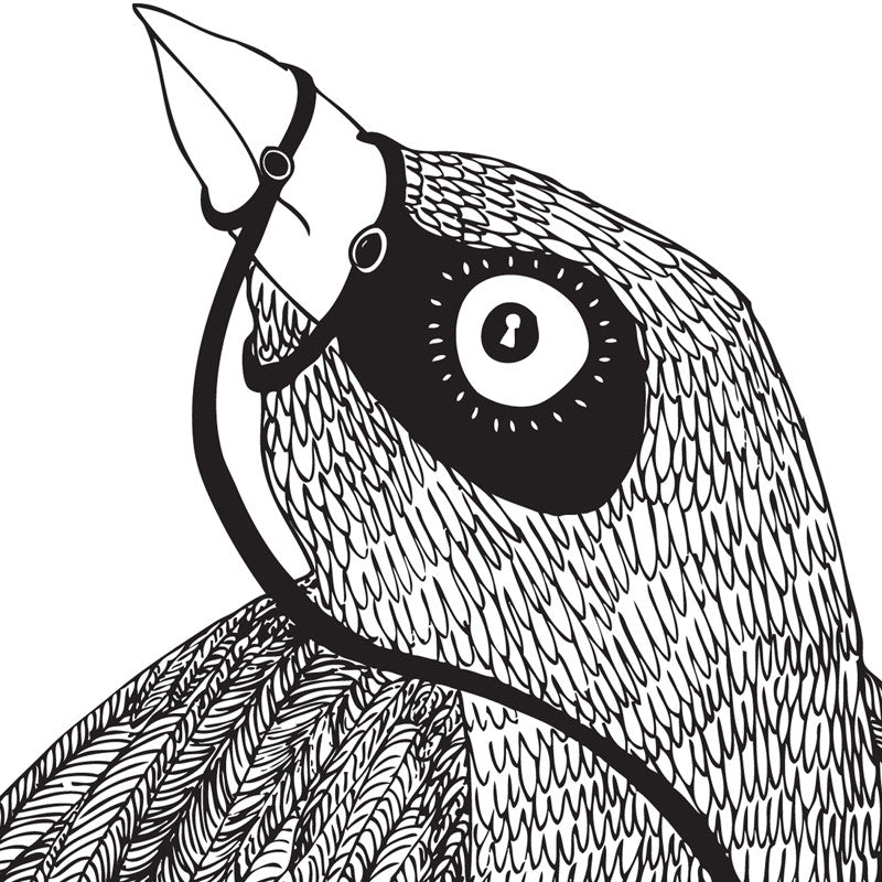Bird of Truth A3