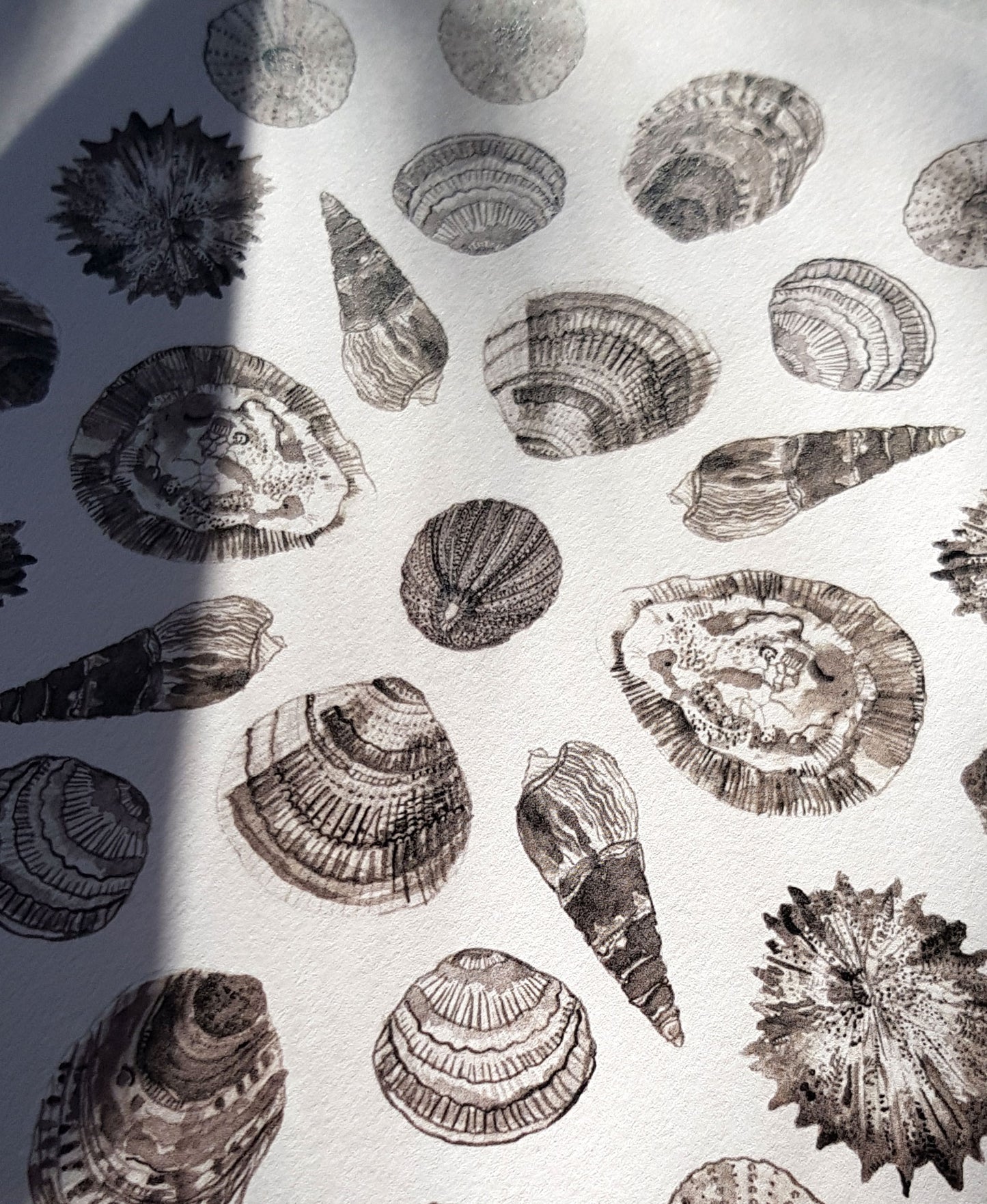 Shell Mandala - Olokun