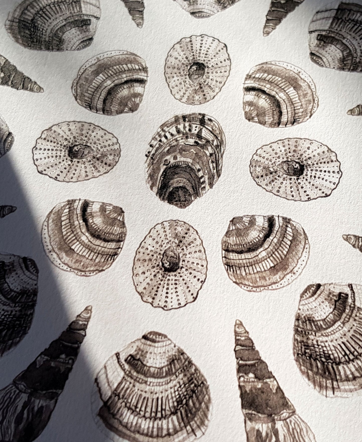 Shell Mandala - Oshun