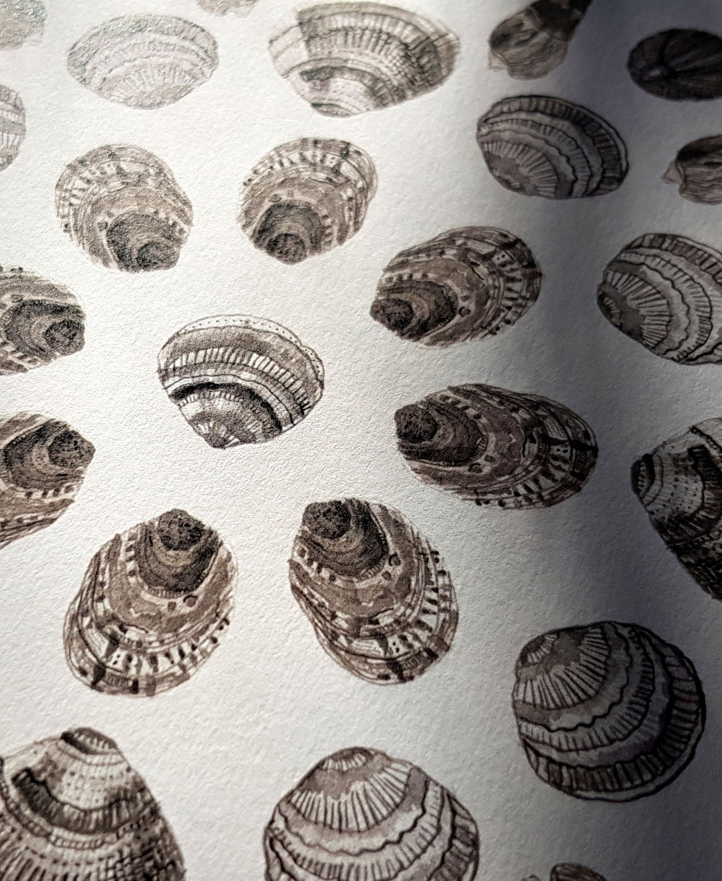 Shell Mandala - Yemoja