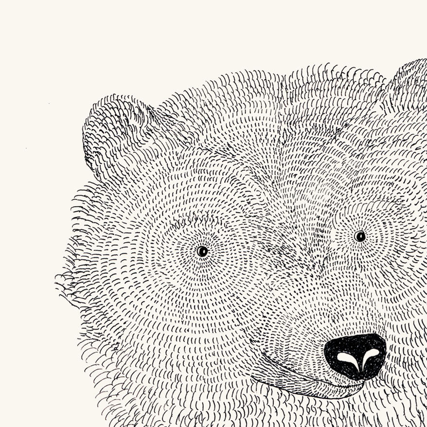 Bear & Wolf A3