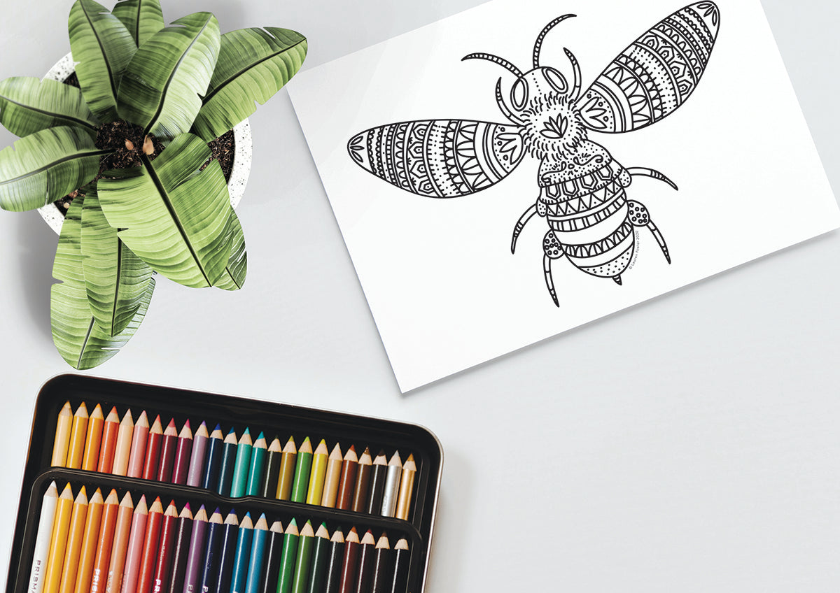Free Colouring in Page - Bee
