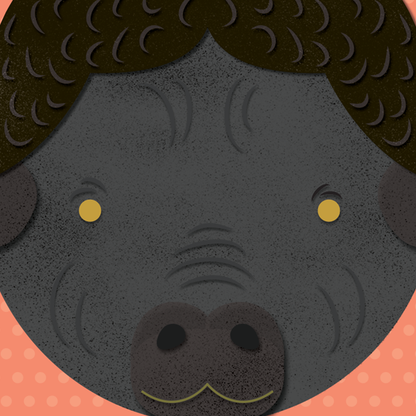 B is for Buffalo A4