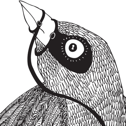 Bird of Truth A3
