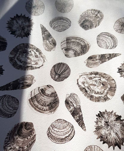 Shell Mandala - Olokun