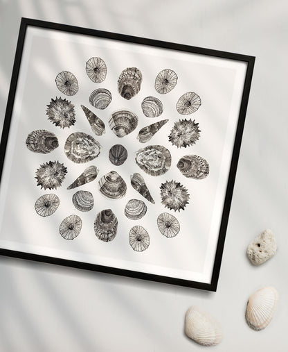 Shell Mandala - Olokun