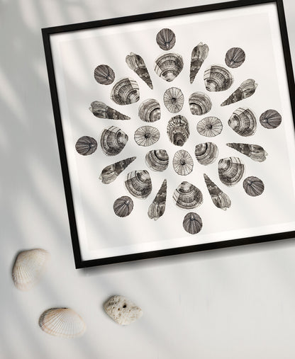 Shell Mandala - Oshun