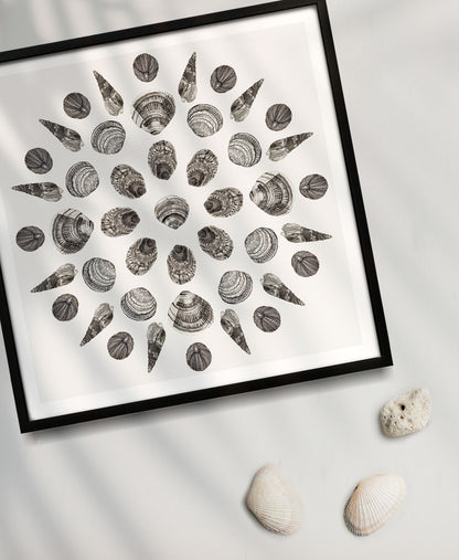 Shell Mandala - Yemoja